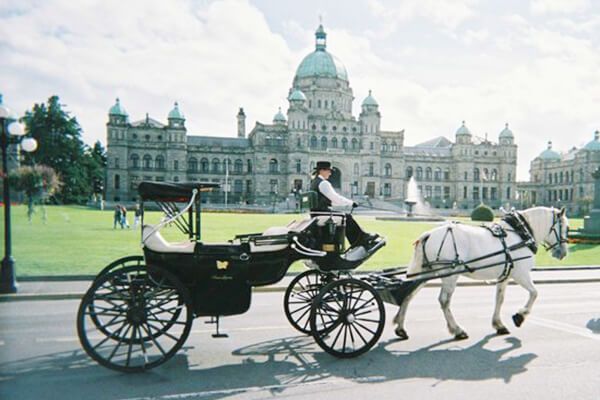Horse Drawn Carriage Tour of Victoria